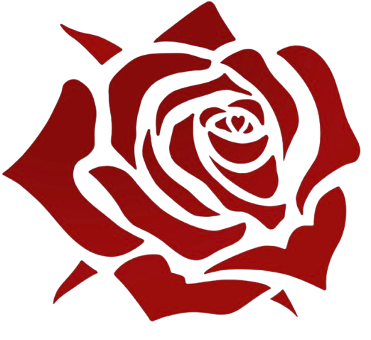 Sandra's Rose
